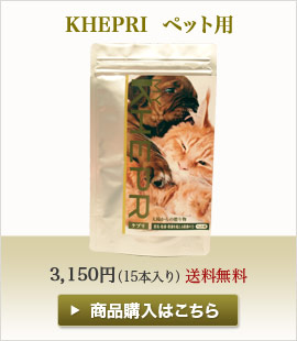 KHEPRI  ペット用