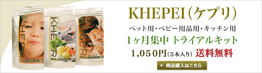 KHEPRI　１ヶ月集中 トライアルキット