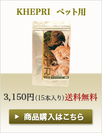 KHEPRI  ペット用
