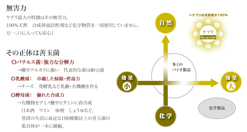 ケプリの特徴説明