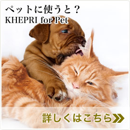 ペットに使うと？